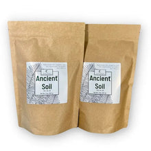 Load image into Gallery viewer, Ancient Soil: Organic Living Soil for Thriving Plants
