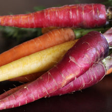 Load image into Gallery viewer, Colorful Carrot Mix
