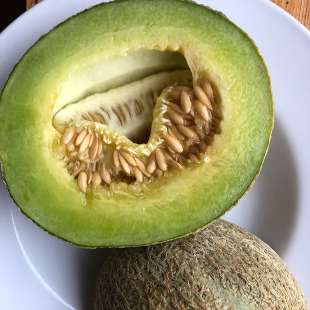 Green Nutmeg Melon – Mother Earth Living
