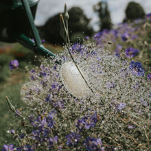 Load image into Gallery viewer, Haws Cradley Deluxe — Watering Can
