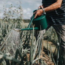 Load image into Gallery viewer, Haws Cradley Deluxe — Watering Can
