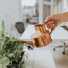 Load image into Gallery viewer, Haws Fazeley — Watering Can
