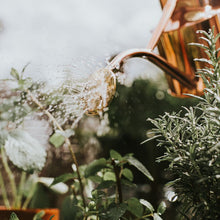 Load image into Gallery viewer, Haws Rowley Ripple — Watering Can
