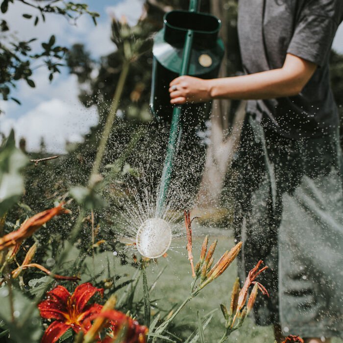 Haws Warley Fall — Watering Can