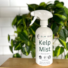 Load image into Gallery viewer, Kelp Mist
