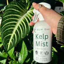 Load image into Gallery viewer, Kelp Mist
