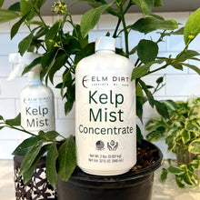 Load image into Gallery viewer, Kelp Mist
