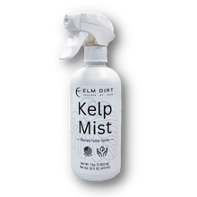 Load image into Gallery viewer, Kelp Mist

