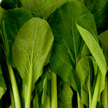 Load image into Gallery viewer, Komatsuna Tendergreen Spinach Mustard
