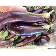 Load image into Gallery viewer, Za Hara Eggplant
