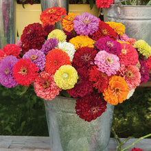 Load image into Gallery viewer, Zany for Zinnias — Our Grow Kit Gift Box with Zinnias
