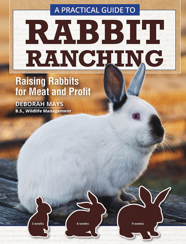 A PRACTICAL GUIDE TO RABBIT RANCHING