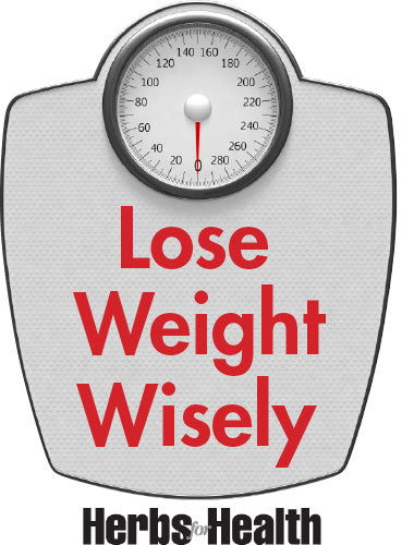 LOSE WEIGHT WISELY, E-BOOK