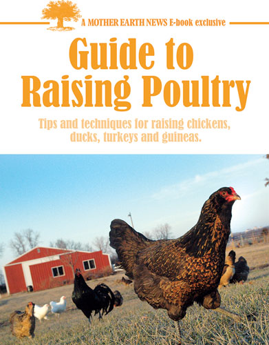 MOTHER EARTH NEWS: GUIDE TO RAISING POULTRY, E-BOOK
