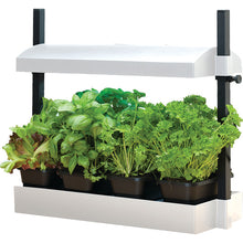 Load image into Gallery viewer, T5 MICRO GARDEN GROW LIGHT
